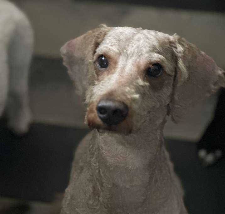 Photo of Archer