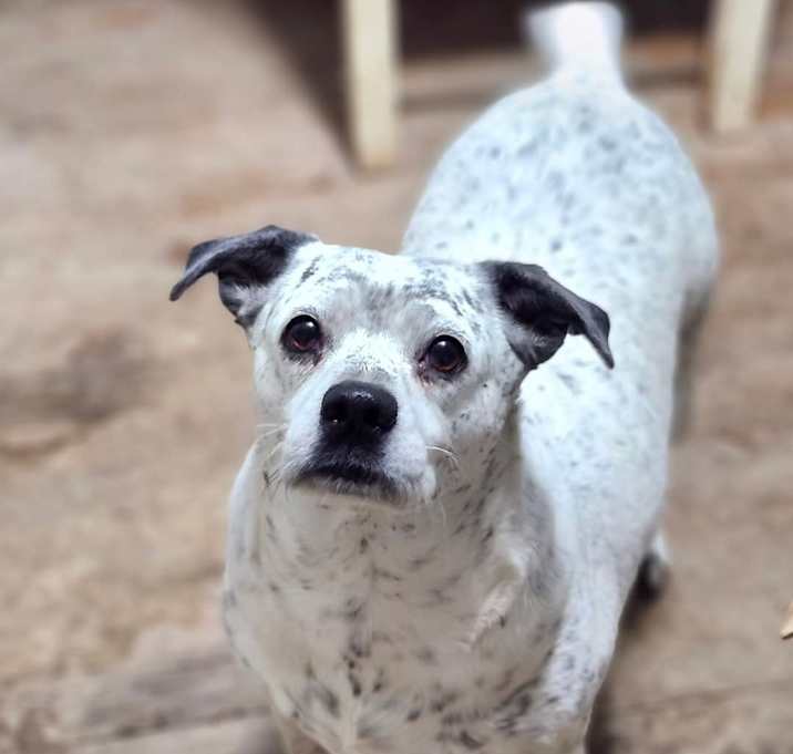 Photo of Harper