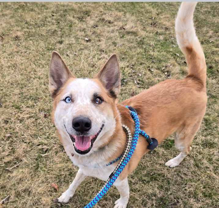 Photo of Bingo