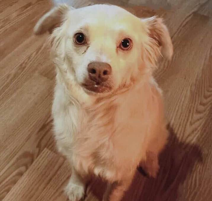 Photo of Porter