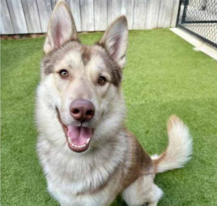 Photo of Mocha