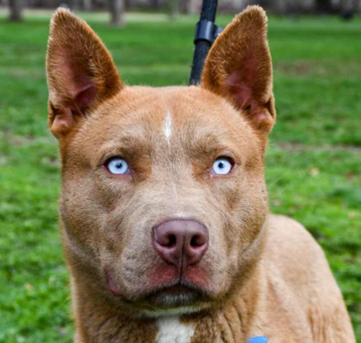 Photo of Diego