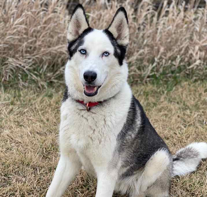 Photo of Blue