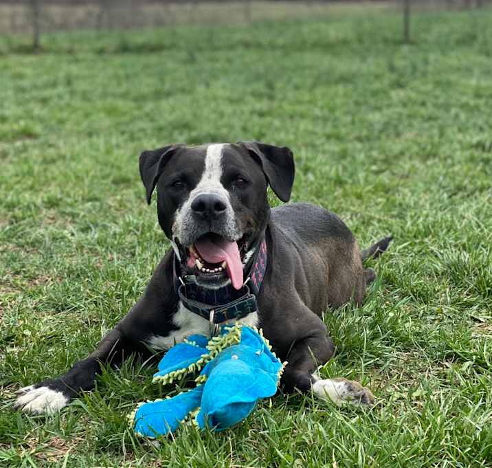 Photo of Dex