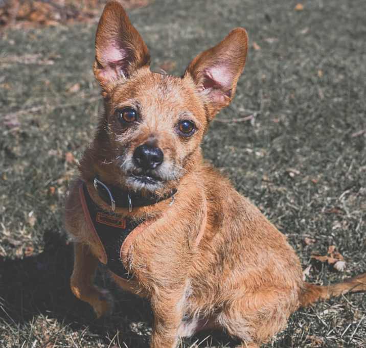 Photo of Marty