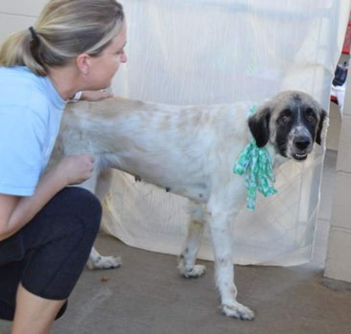 Photo of Kennedy (In Foster)