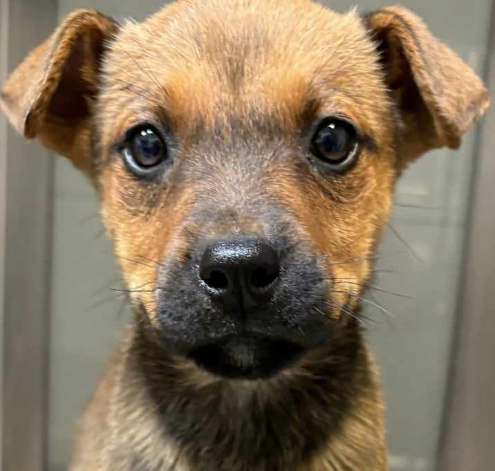 Photo of Sharpay