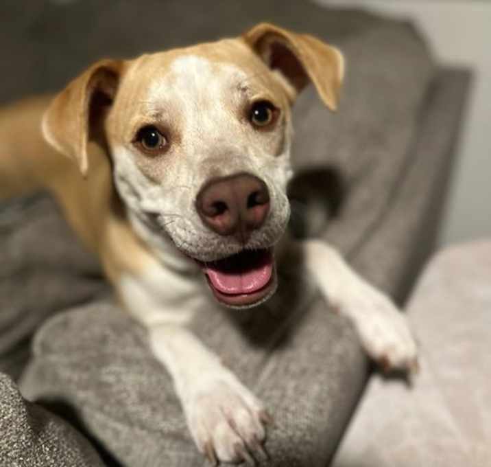 Photo of Tallulah