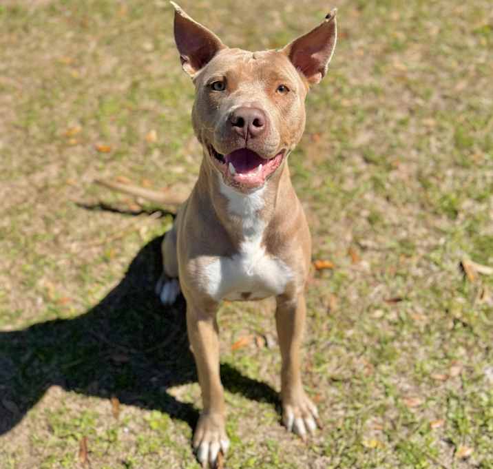 Photo of Harley