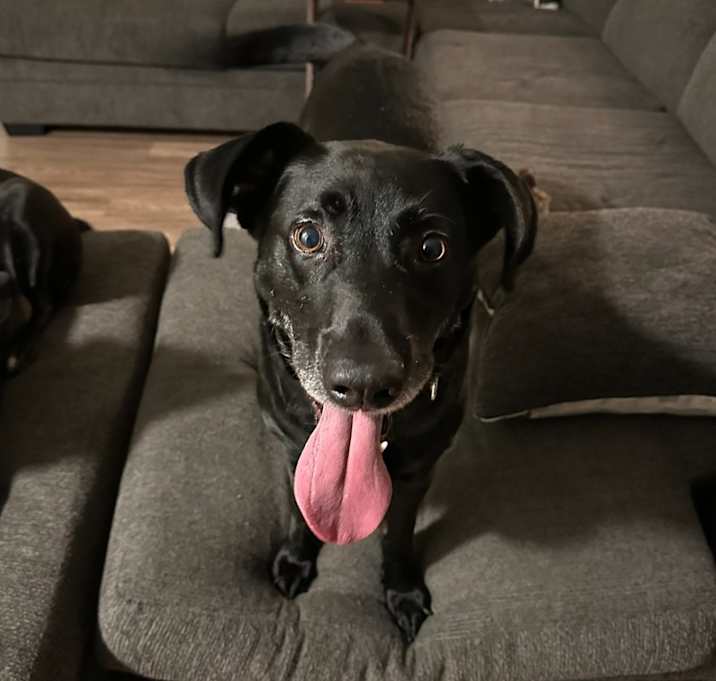 Photo of Murphy