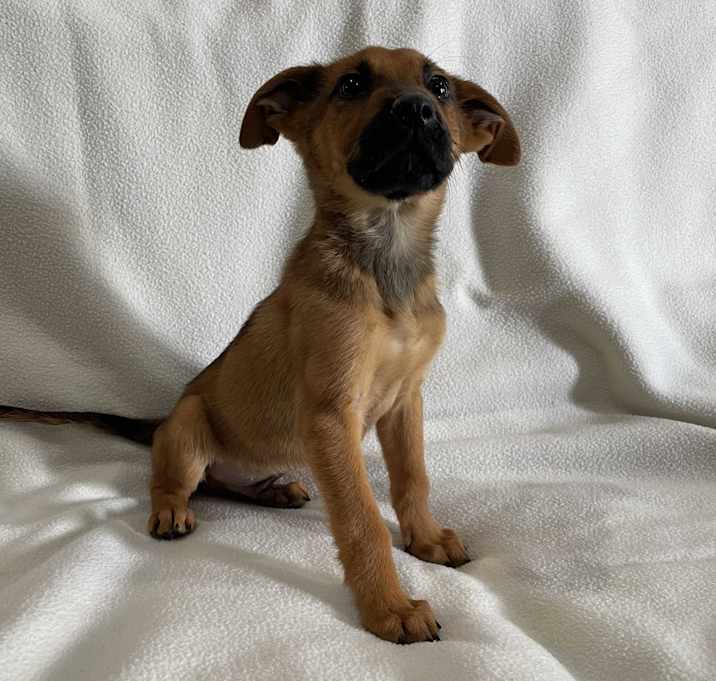 Photo of Tiny