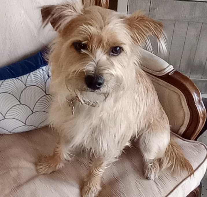 Photo of BELLA