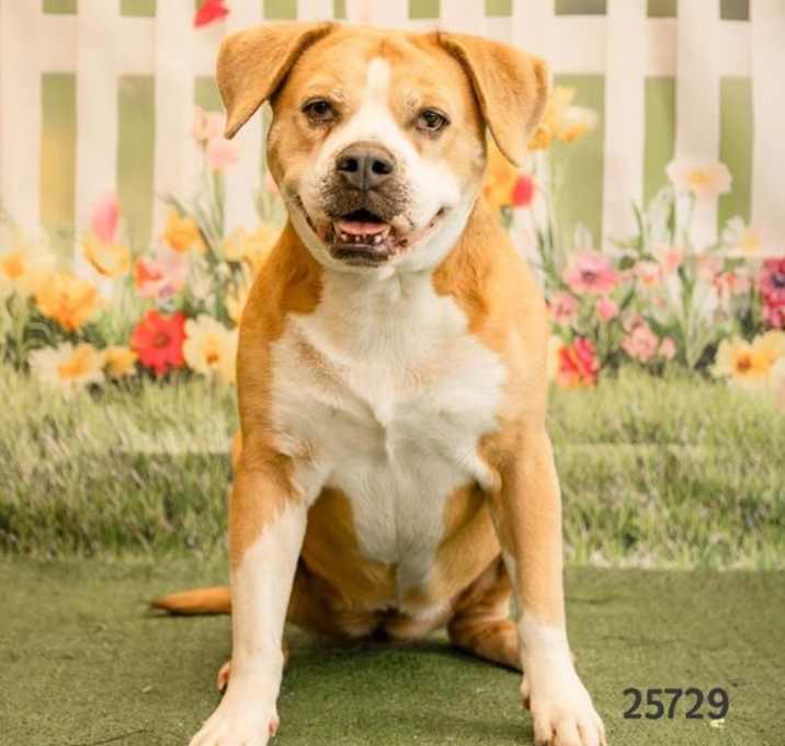 Photo of Lucy