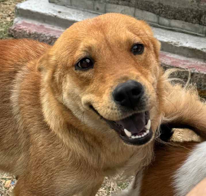 Photo of Luna