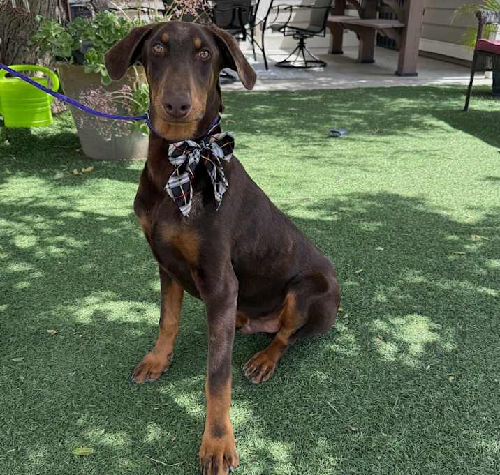 Photo of Mason
