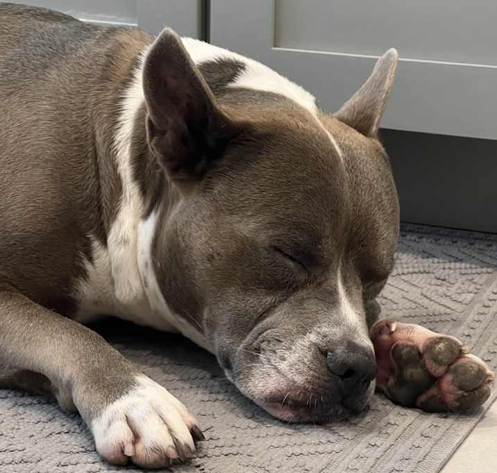 Photo of Frank