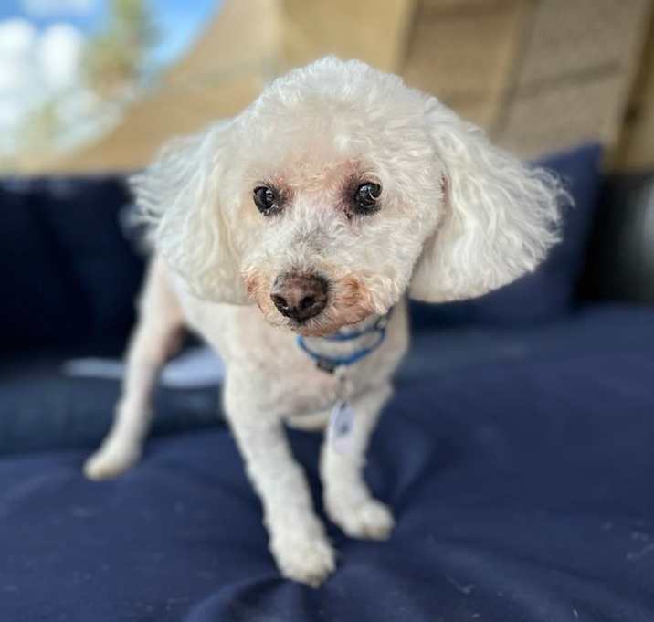 Photo of Oliver Joe