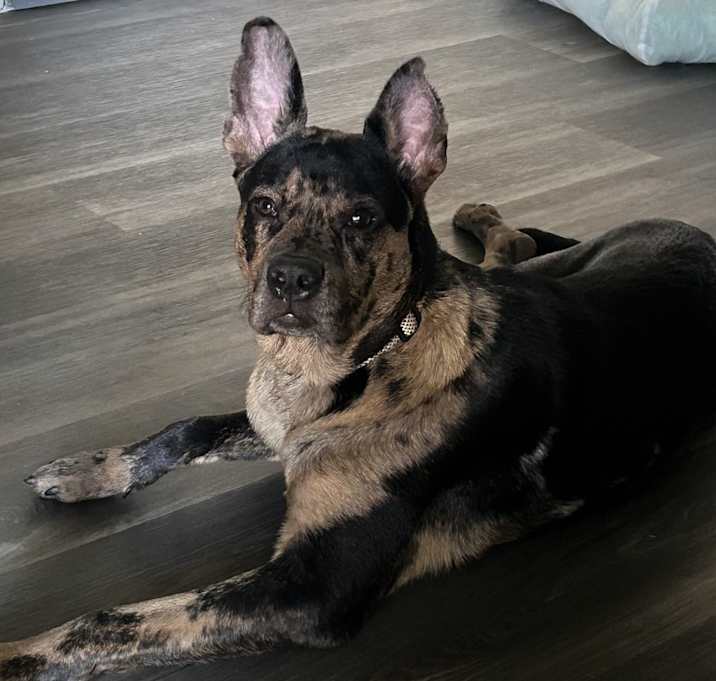 Photo of Roky