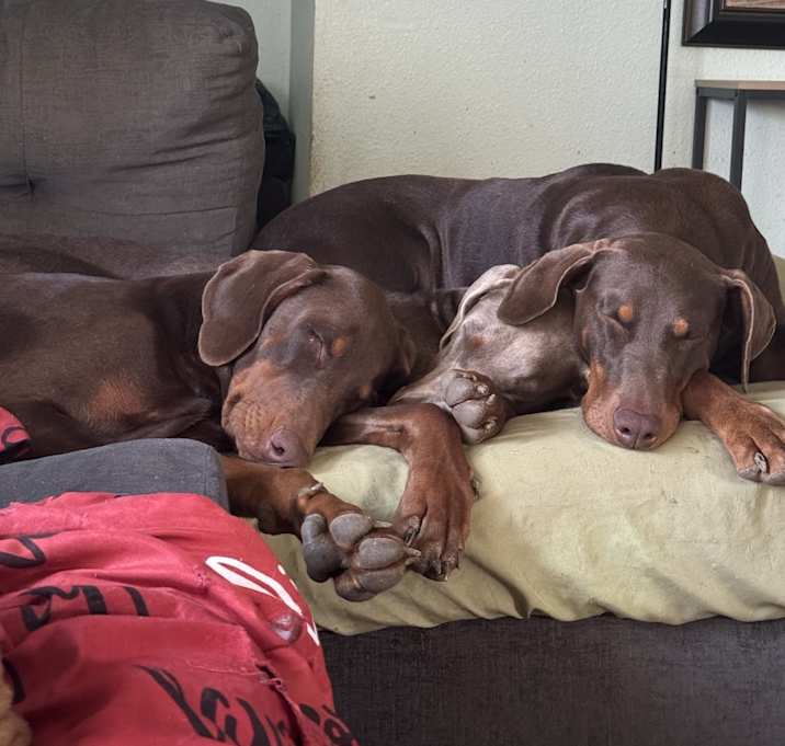 Photo of Chula and Nyla