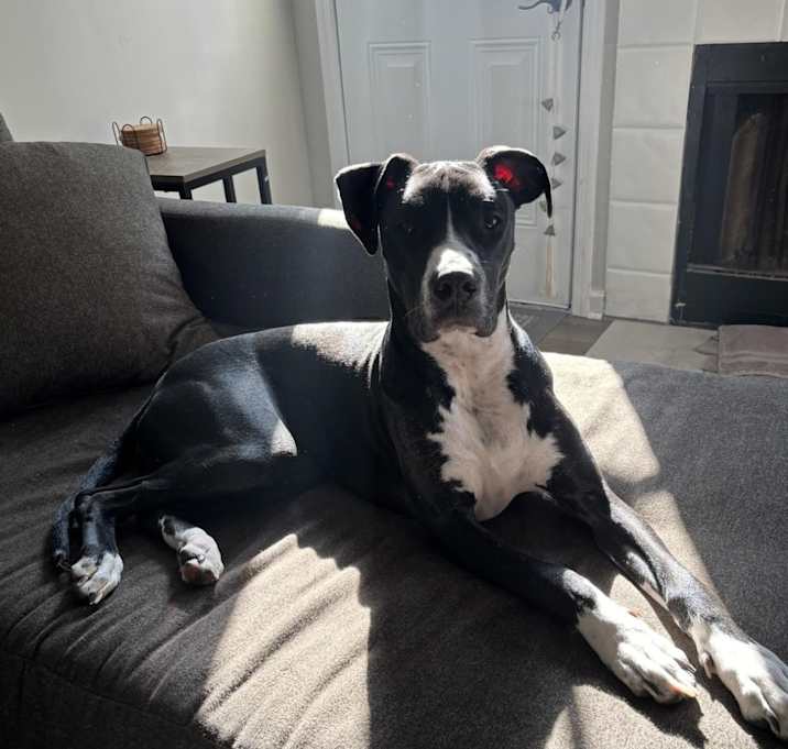 Photo of Sophie