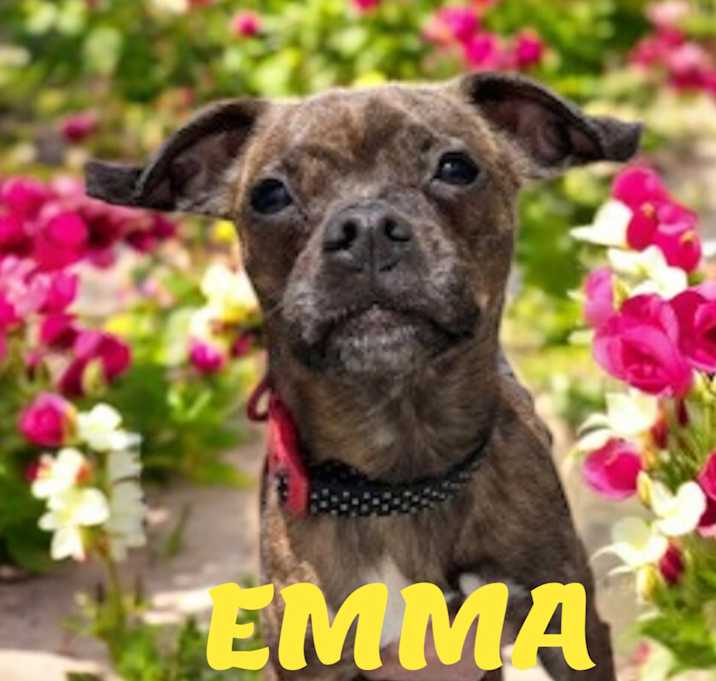 Photo of Emma