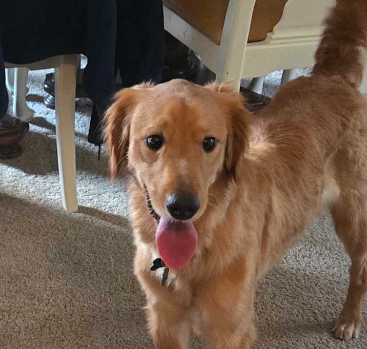 Photo of Charlie 