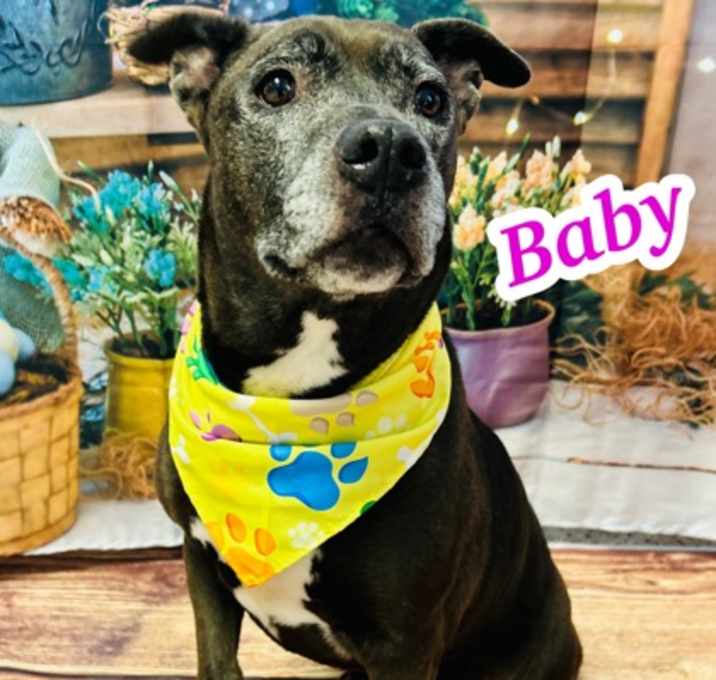 Photo of Baby
