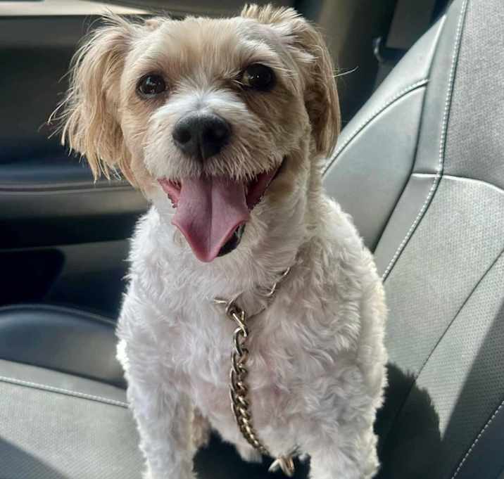 Photo of Cappy