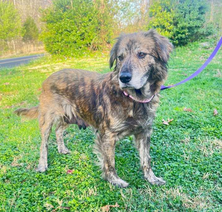 Photo of Blossom