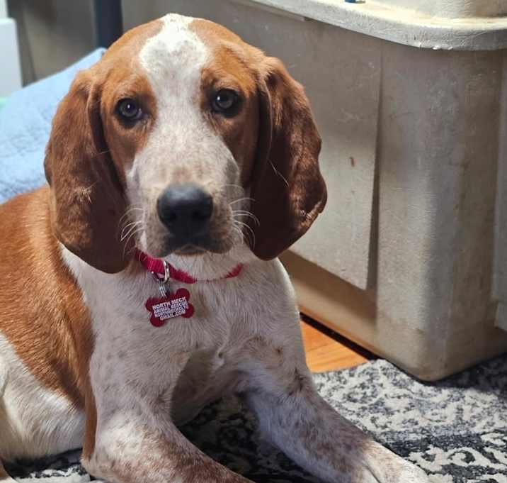 Photo of Mabel