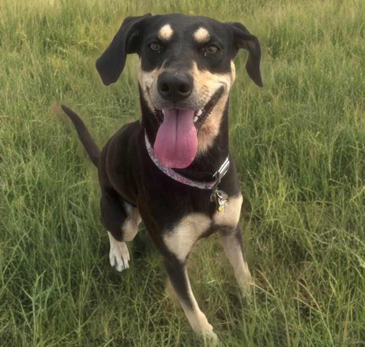 Photo of Georgia