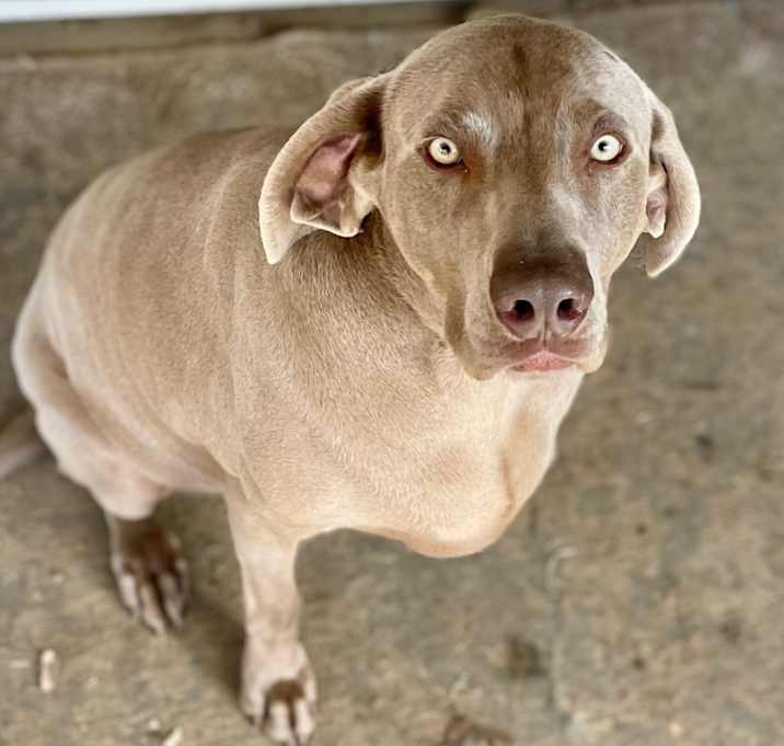Photo of Hera