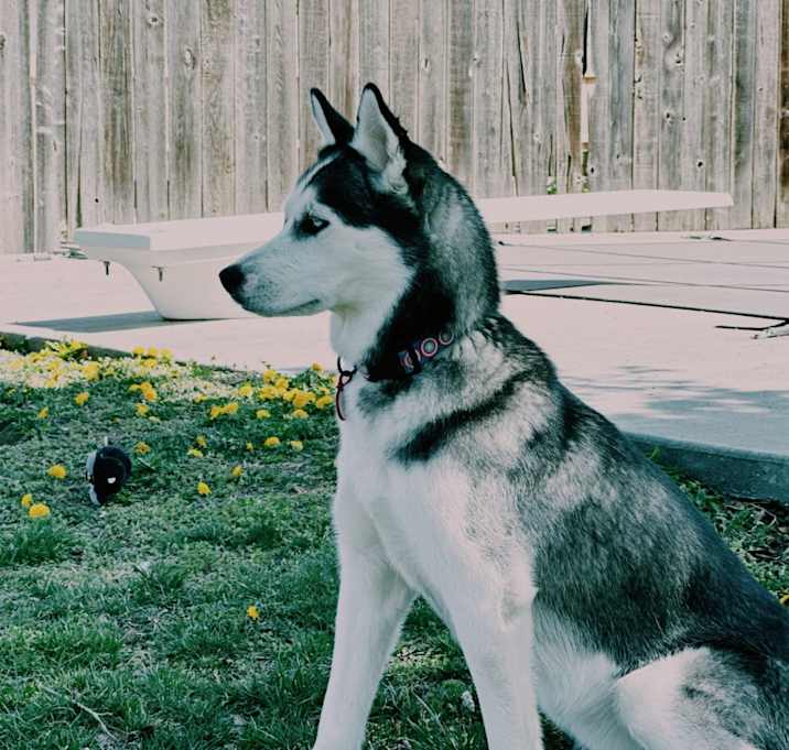 Photo of Lucy