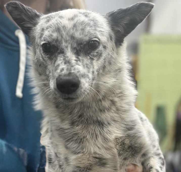 Photo of Hendricks
