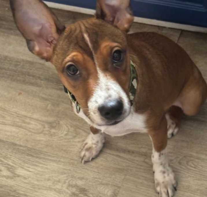 Photo of Clyde Baby