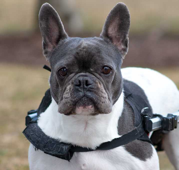 Photo of Margo