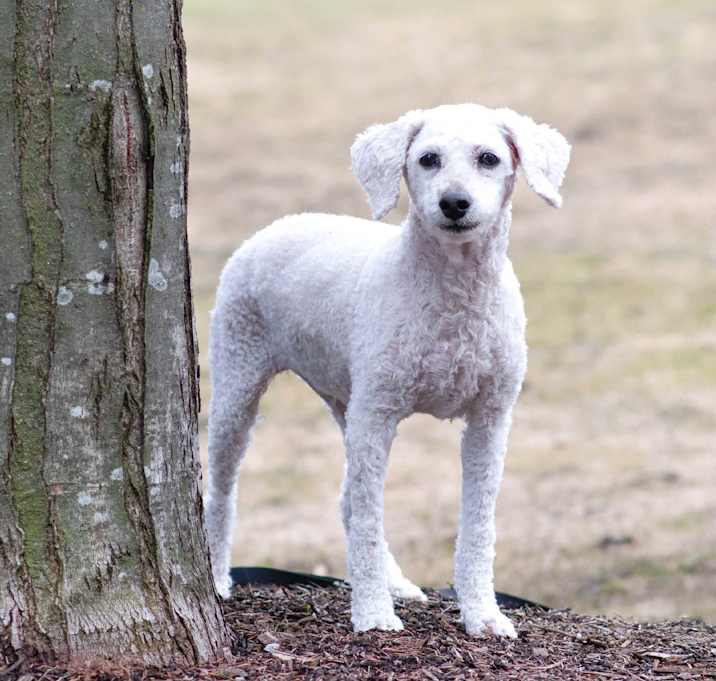 Photo of Teyha
