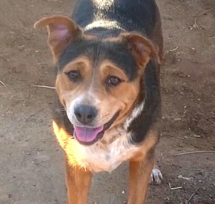 Photo of CECE