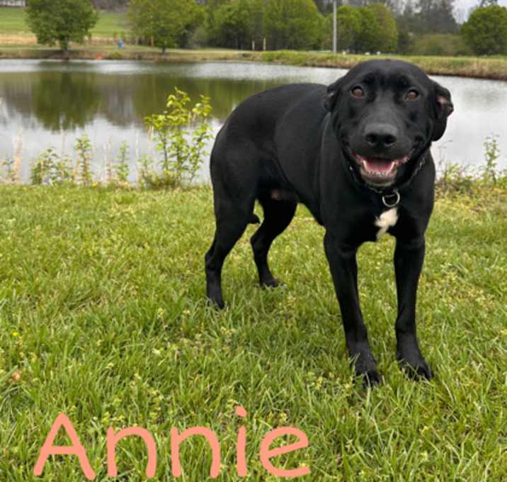 Photo of Annie