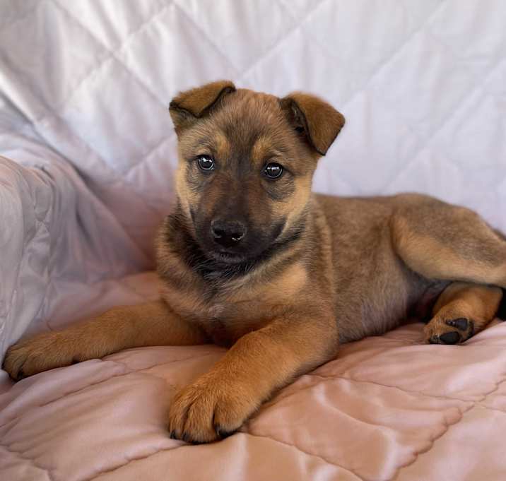Photo of Gus