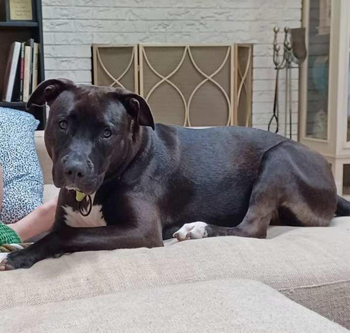 Photo of COOKIE