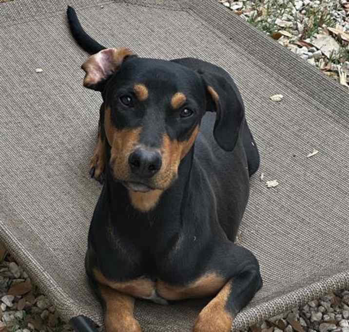 Photo of ZEUS