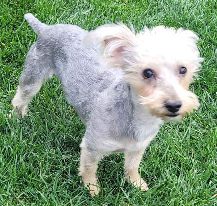 Photo of Jingle