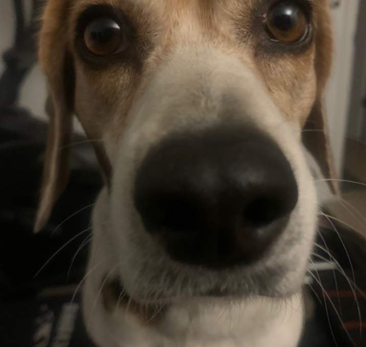 Photo of Winnie