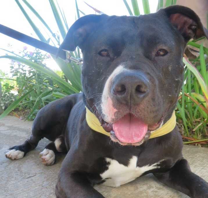 Photo of Tank