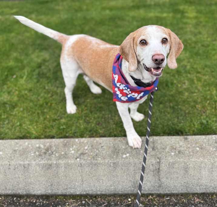 Photo of Mowgi