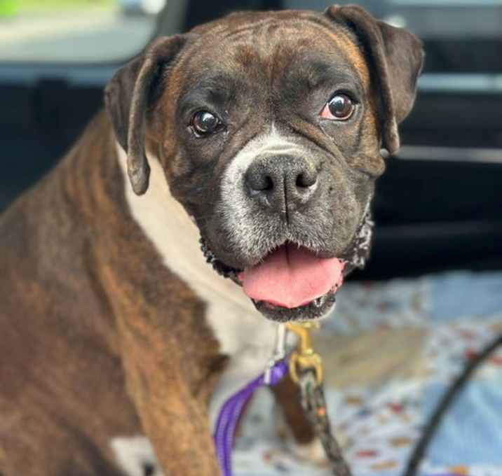 Photo of Myla