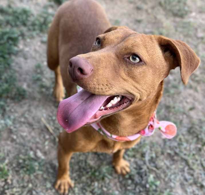 Photo of Ellie