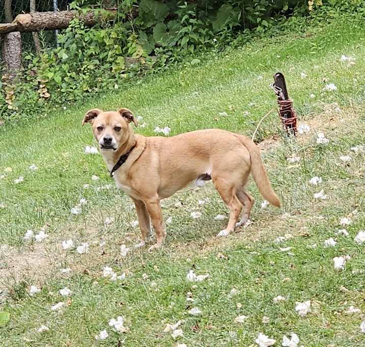 Photo of Duke