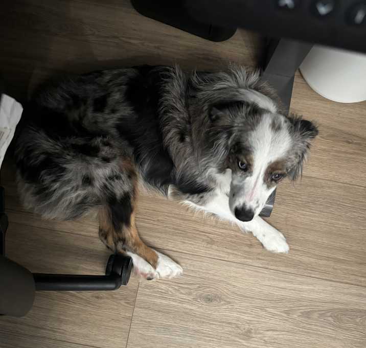 Photo of Rocket